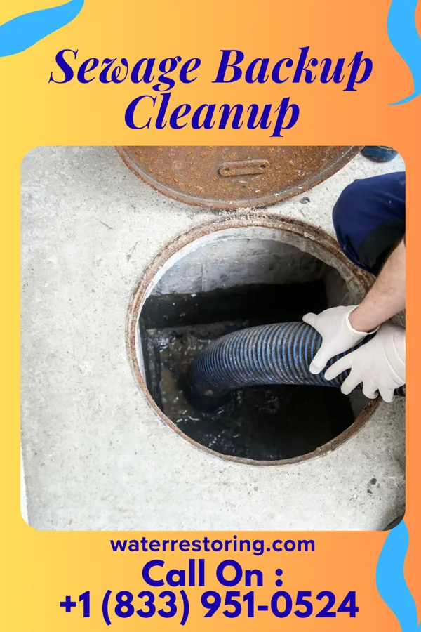 Sewage Backup Cleanup in Jonestown, TX